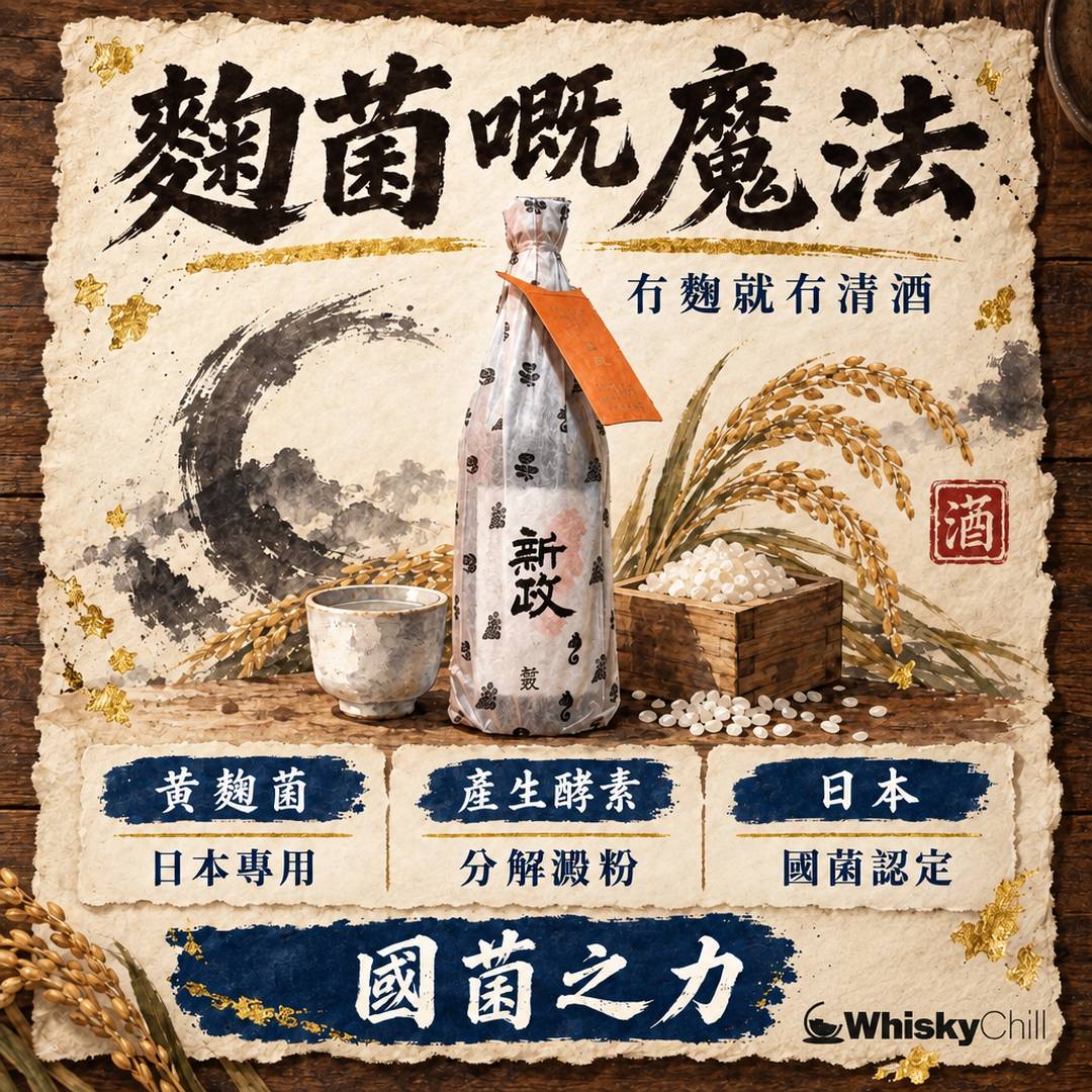 麴菌嘅魔法｜點解冇麴就冇清酒｜主視覺圖解