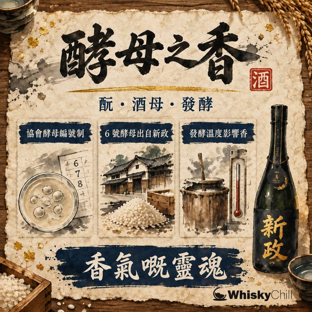 酵母係清酒香氣嘅靈魂｜酛、酒母同發酵嘅觀察藝術｜三個重點