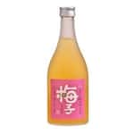 梅酒 船坂酒造 飛驛高山完熟梅酒 500ml