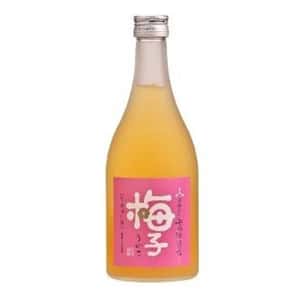 梅酒 船坂酒造 飛驛高山完熟梅酒 500ml