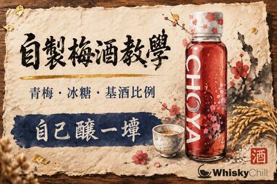 自製梅酒做法|青梅、冰糖、基酒比例+5 種飲法(附功效迷思同香港買料清單)