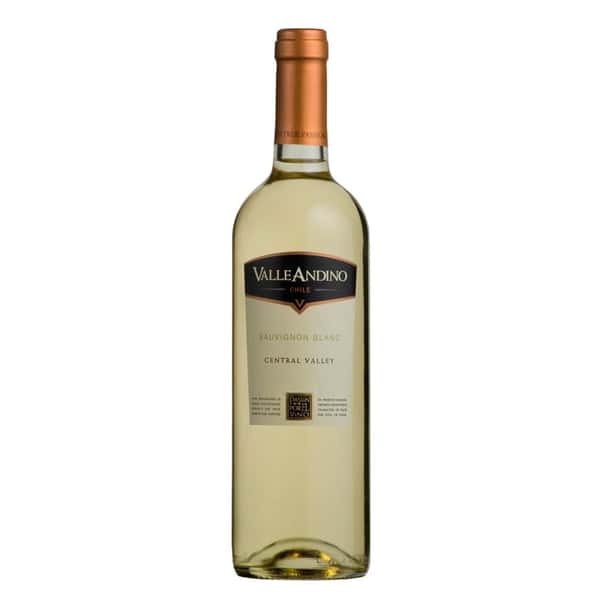 Chile Valle Andino Sauvignon Blanc 智利安第斯山谷 長相思白酒 750ml - 原裝行貨 (圖片1)