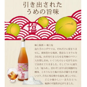 北島酒造 北島酒造 塩うめ 天然海鹽 梅酒 720ml 720ml  背面圖