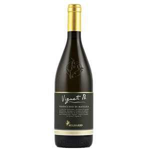 Italy Italy Vigneti B Bianco Verdicchio Di Matelica 意大利有機白葡萄酒 750ml 750ml 正面圖