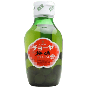 CHOYA CHOYA 梅酒 蝶矢 Special 1.6L 6L  正面圖