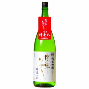 東洋美人 東洋美人 醇道一途 純米吟釀 直汲み生 720ml - 限定品 720ml 正面圖