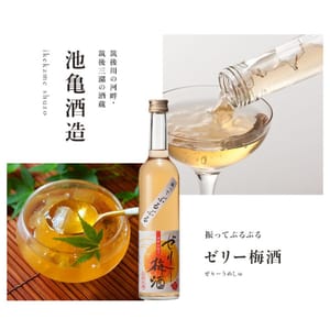池龜酒造 池龜酒造 啫喱梅酒 500ml 500ml  正面圖