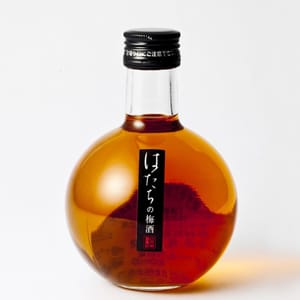 達磨正宗 達磨正宗 ダルマ正宗 はたちの梅酒 20歲的梅酒 300ml 300ml 正面圖
