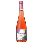 北海道葡萄酒莊 北海道葡萄酒莊 黒葡萄微氣泡酒 Black Grape Sparkling 500ml 500ml  正面圖